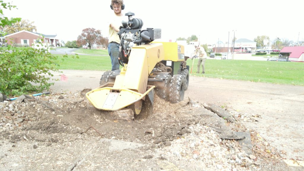 Stump Grinding & Removal Services - Heartwoods Landscaping