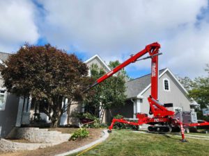 Tree Trimming Services - Heartwoods Landscaping